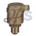 Brass Air Vent Valve for Heating System